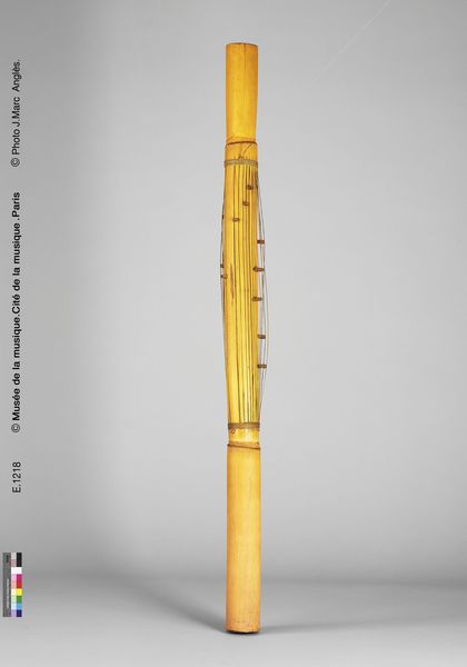 Cithare tubulaire "valiha"