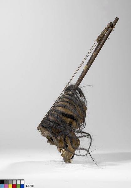 Lyre "kissar"