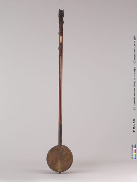 Vièle "zhonghu"