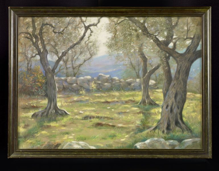 Paysage avec oliviers et muret
