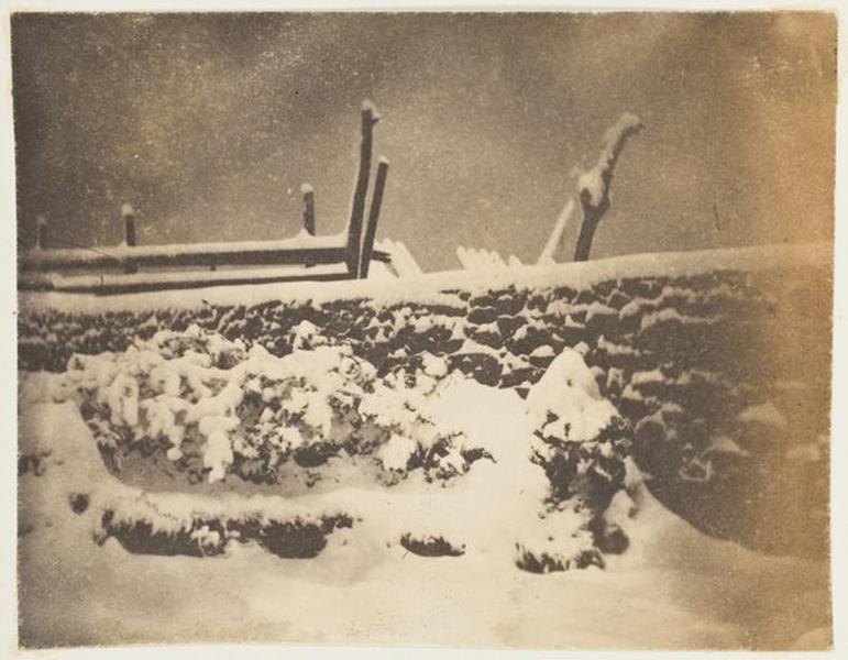 Dans le jardin de Marine Terrace, un jour de neige