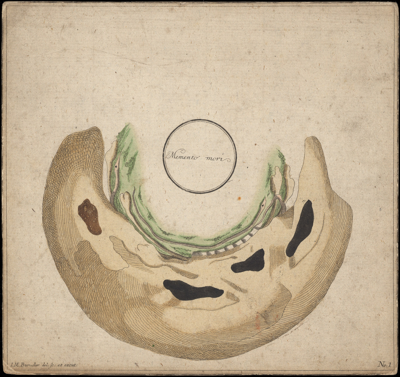 Planche d'anamorphose : Memento mori