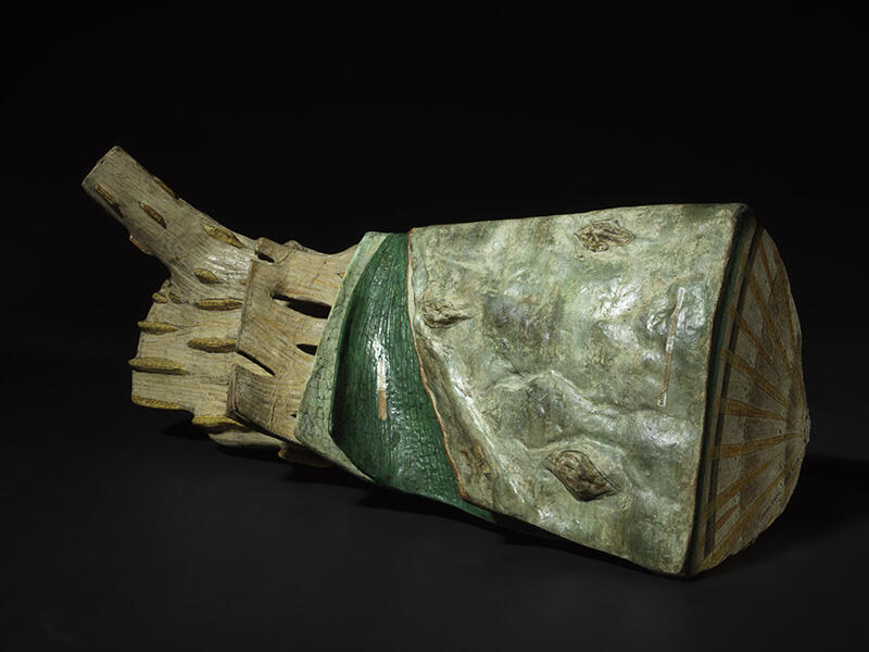 Bois ; Fragment de tige ligneuse de chêne