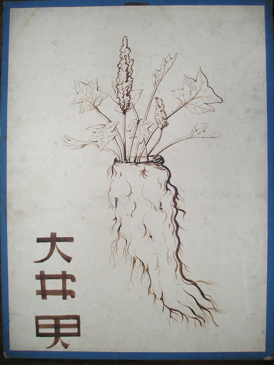 sans titre (idem n° 7 : ta-hoang)