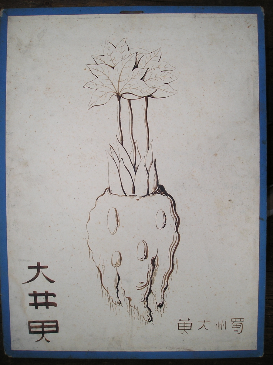cho tchéou ta hoang
