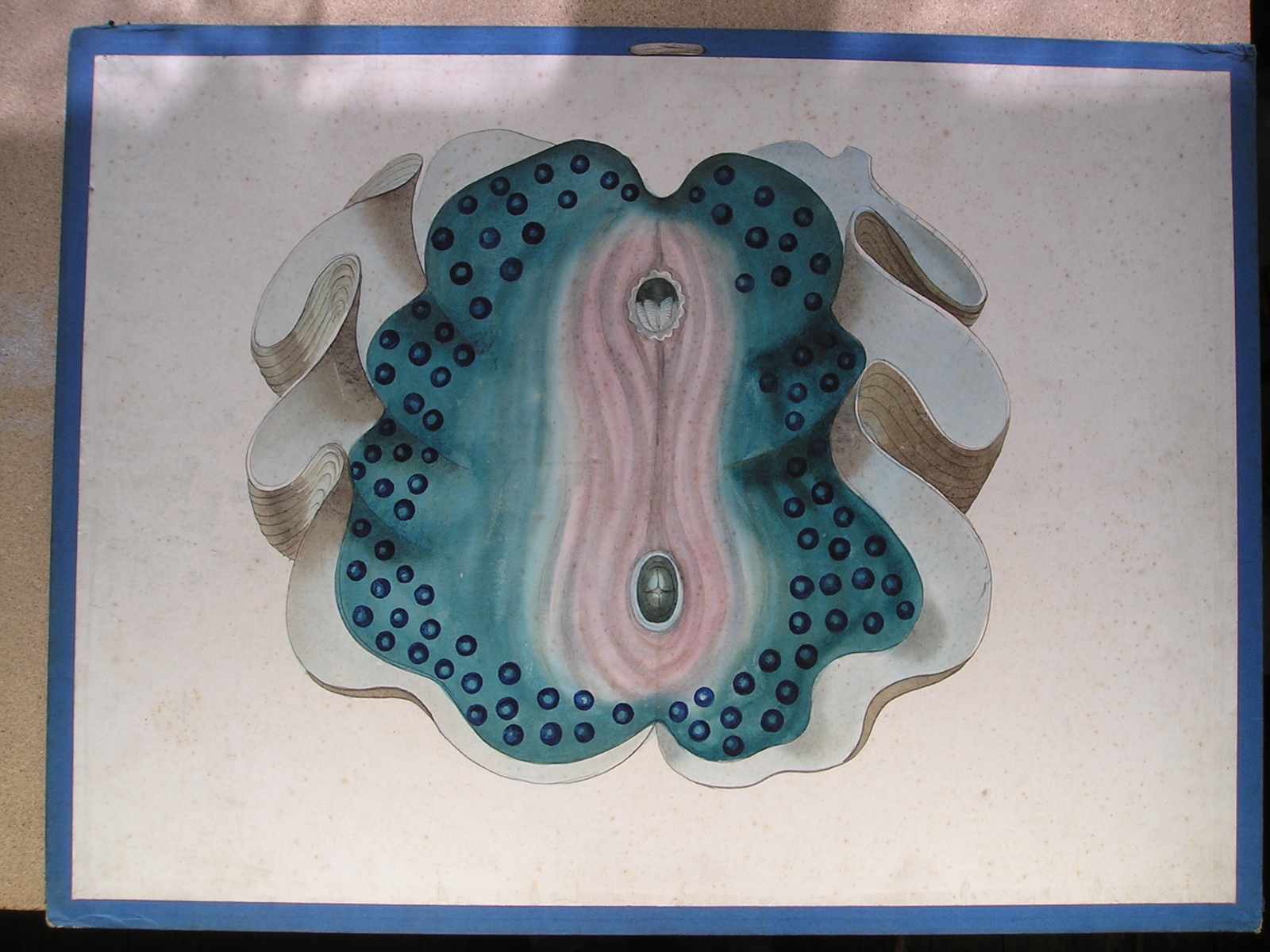 sans titre (bénitier ?)