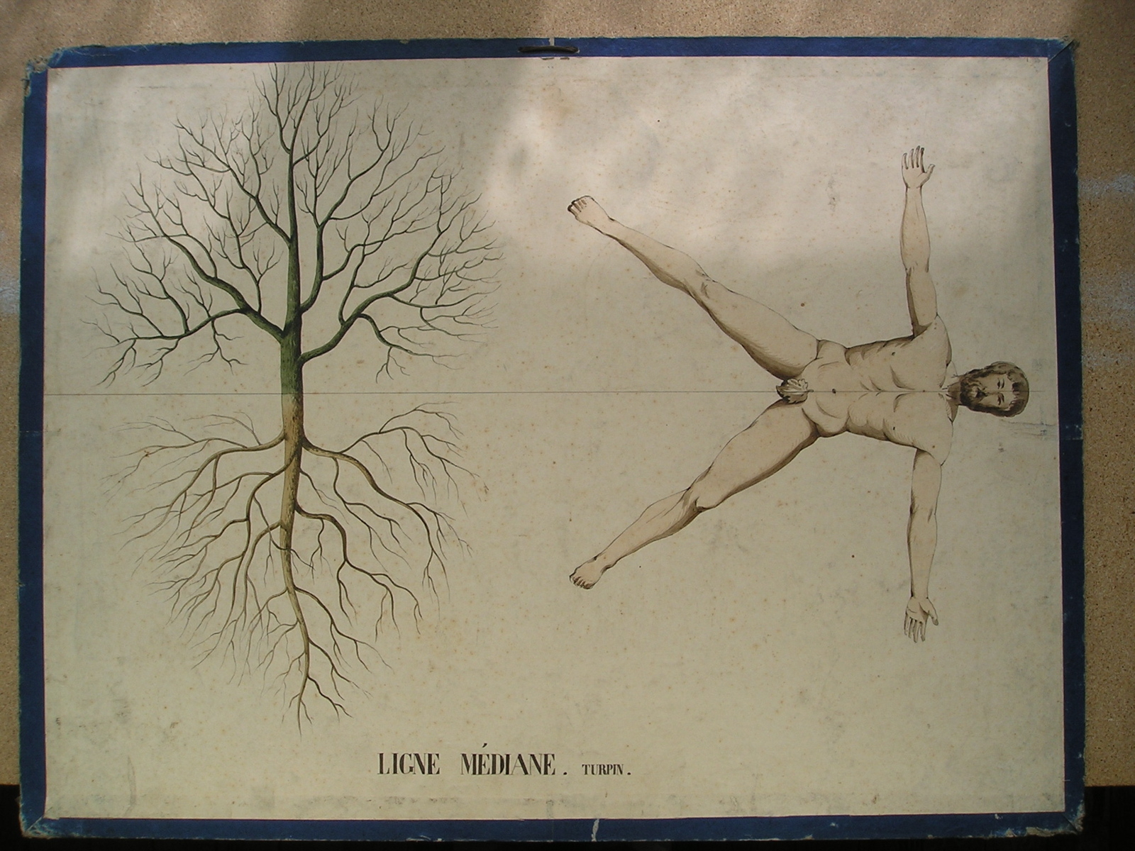 Ligne médiane, Turpin