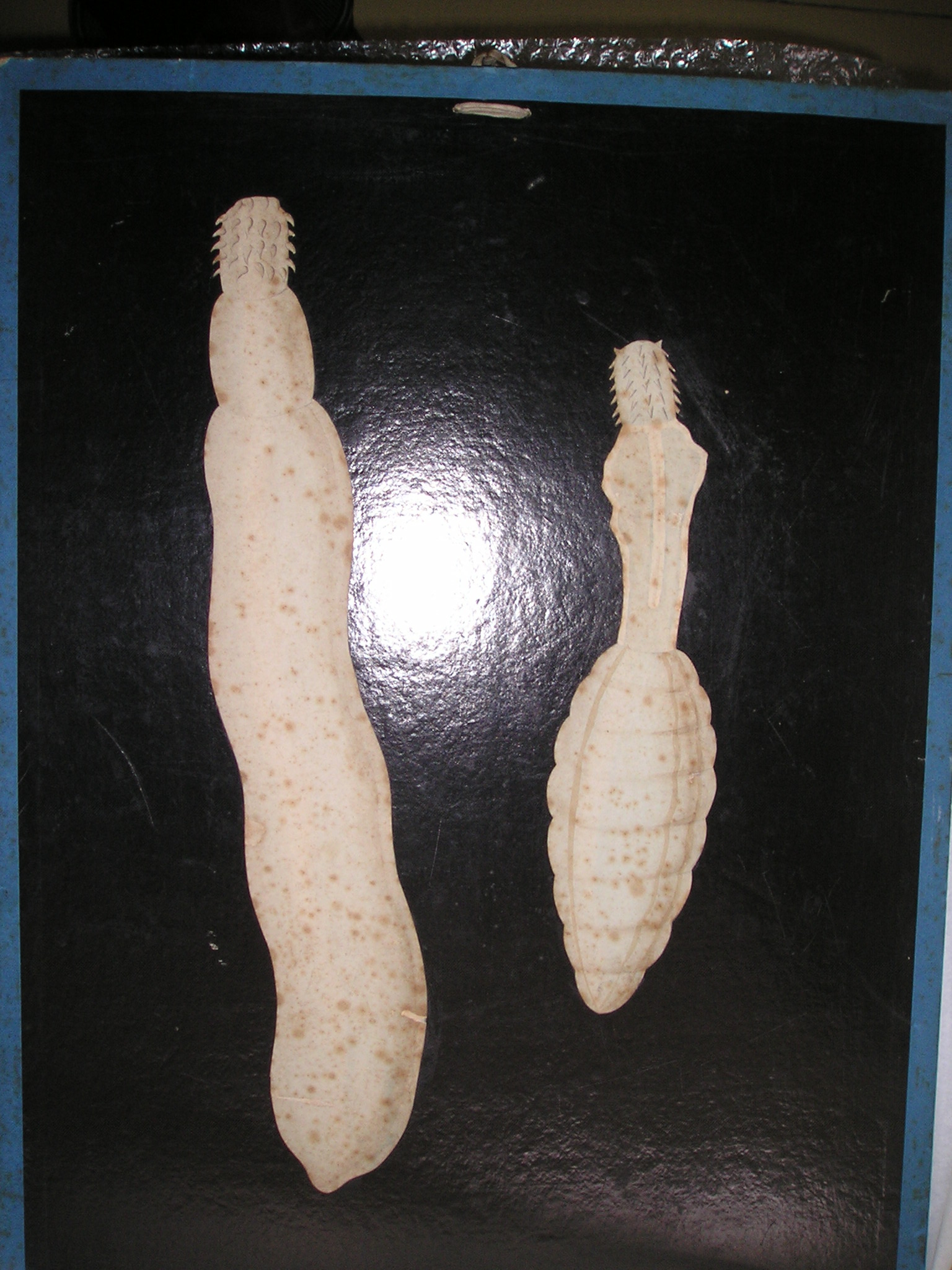 sans titre (2 dessins)