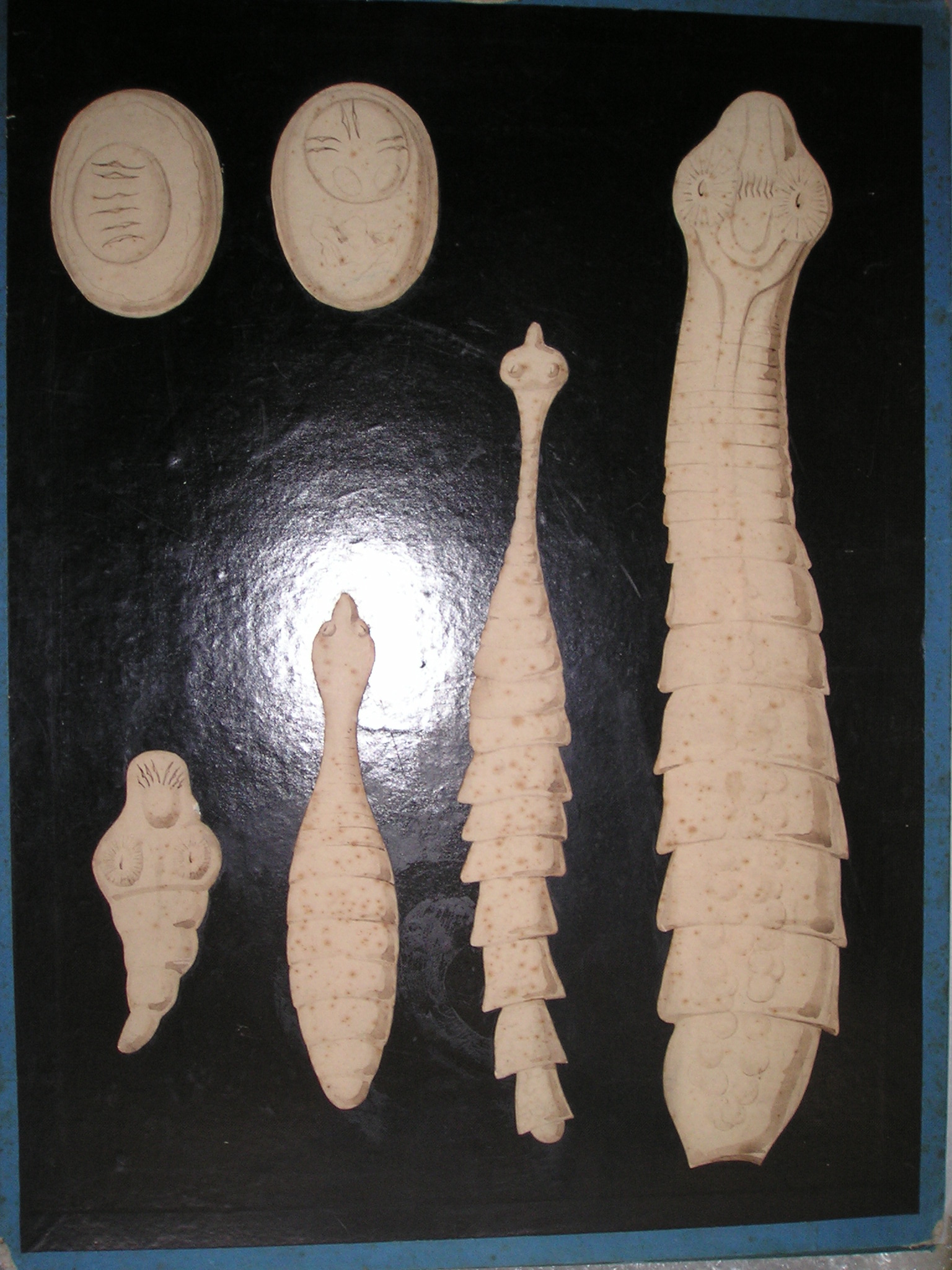 sans titre (6 dessins)