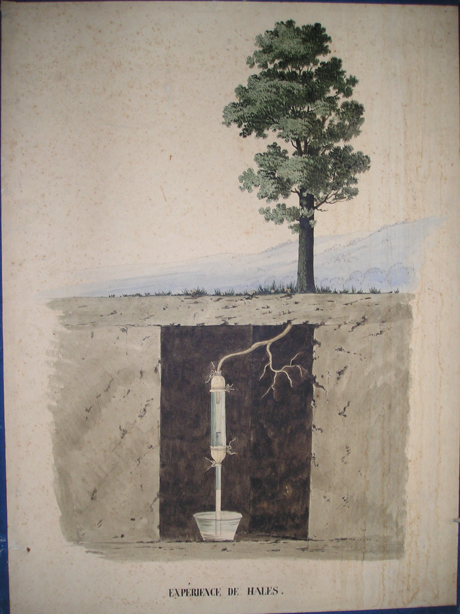 Expérience de Hales