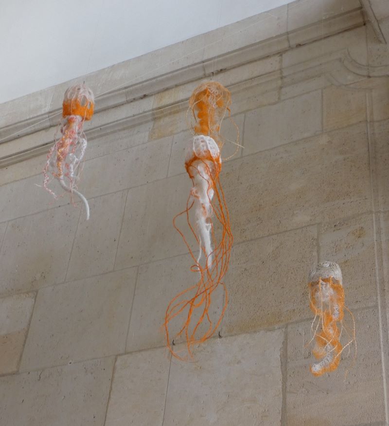 Méduse Jellyfish I
