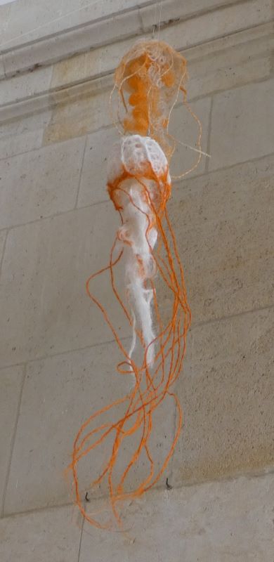 Méduse Jellyfish II