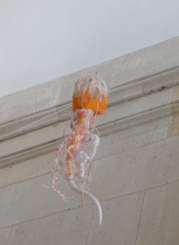 Méduse Sea Nettle