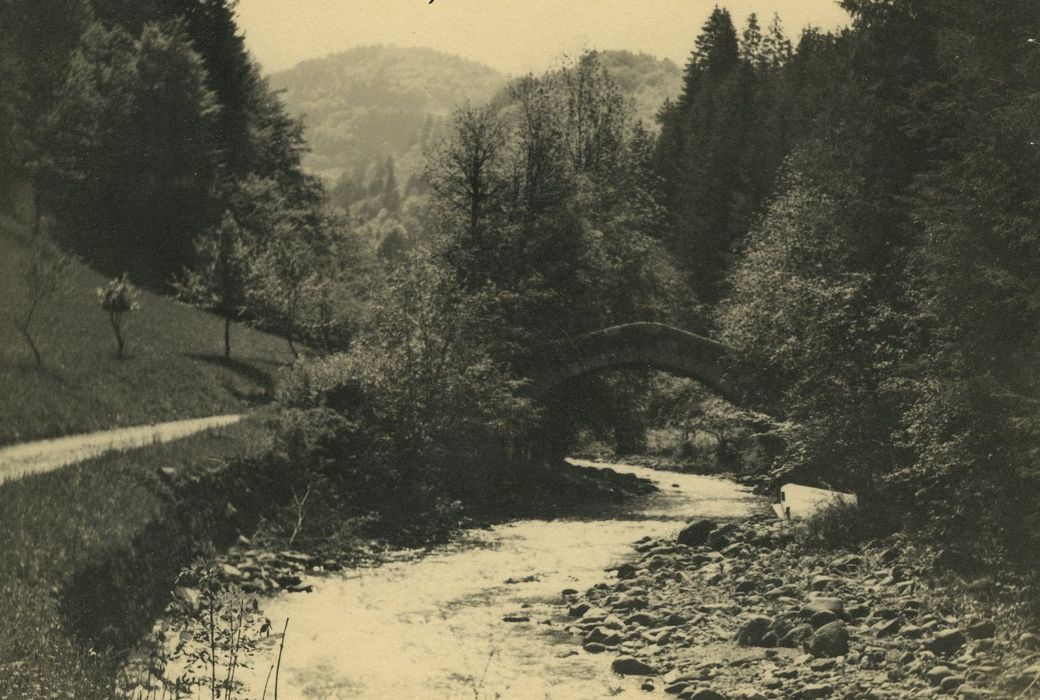 Pont dit Pont Romain : Vue générale du pont dans son environnement