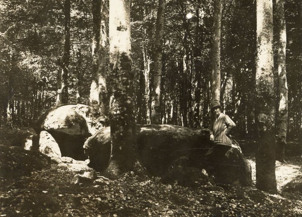vue générale du dolmen